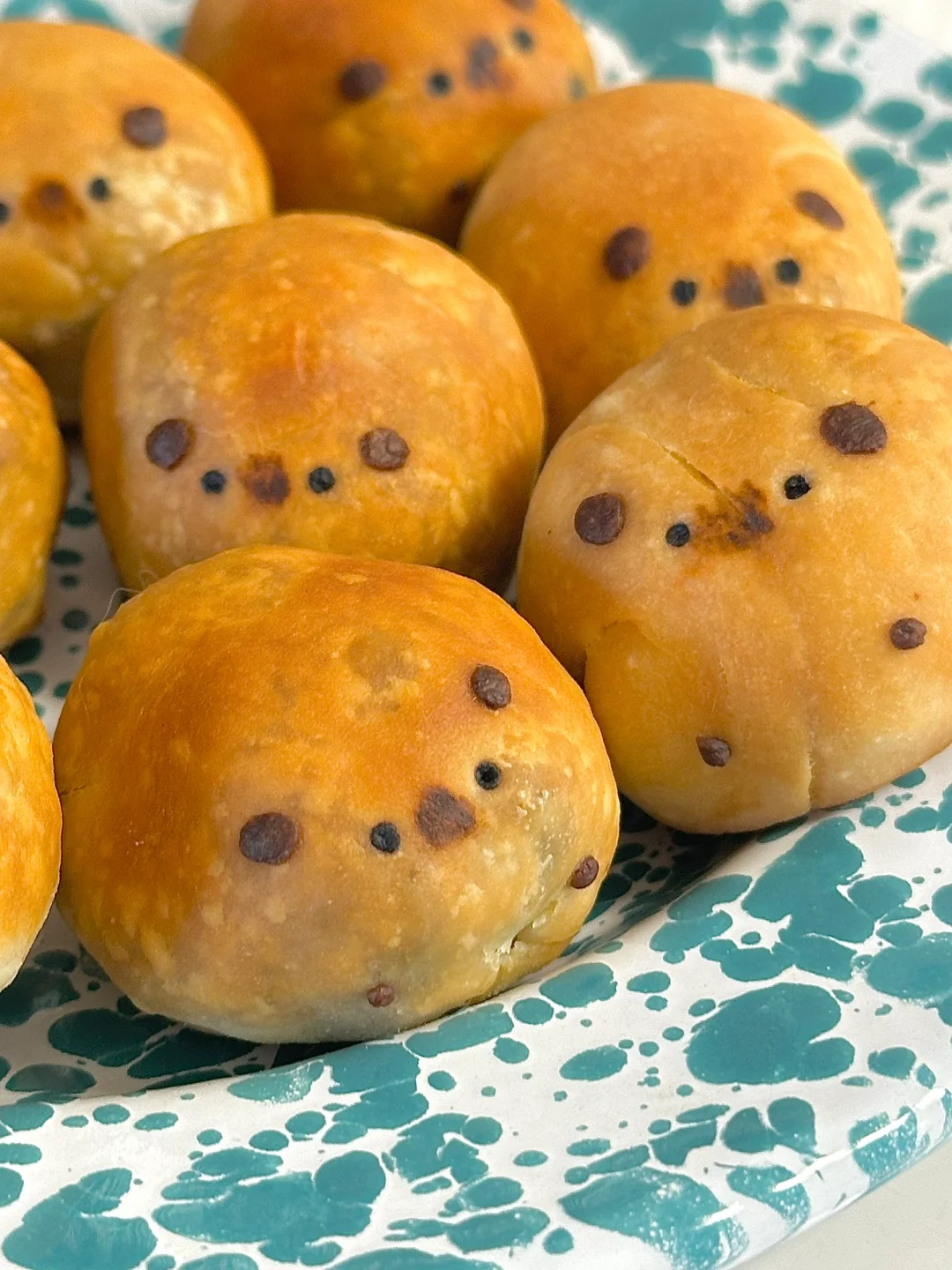 豚鼠黄山烧饼