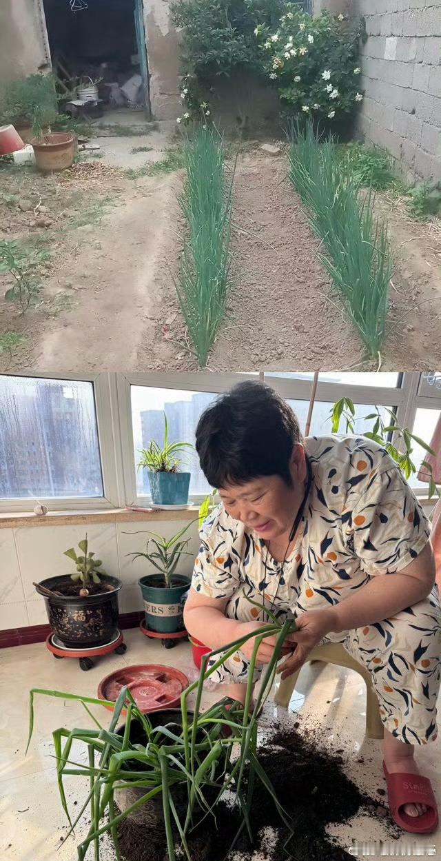 房主任驰援广西洪灾捐赠10万房主任驰援广西洪灾看着被洪水淹没的地区心里难受，好在
