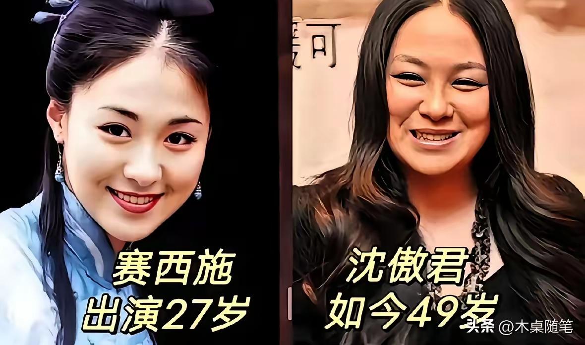 真的特别喜欢沈傲君啊 ，她在《潜伏》里 扮演的左蓝 ，那真的是一个最优秀的女共产