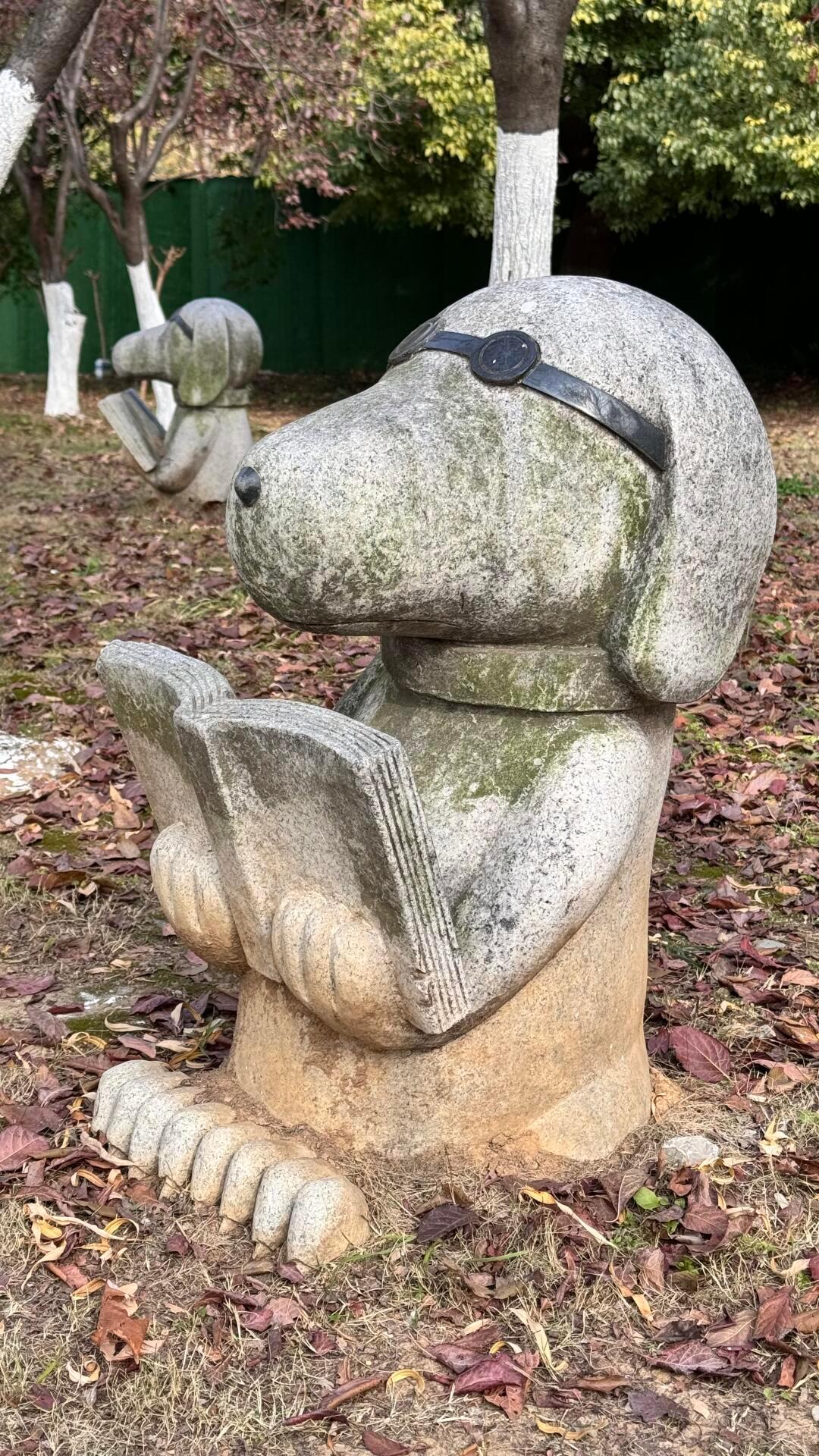 “在鼓楼，就算你是比格，也得读书” 