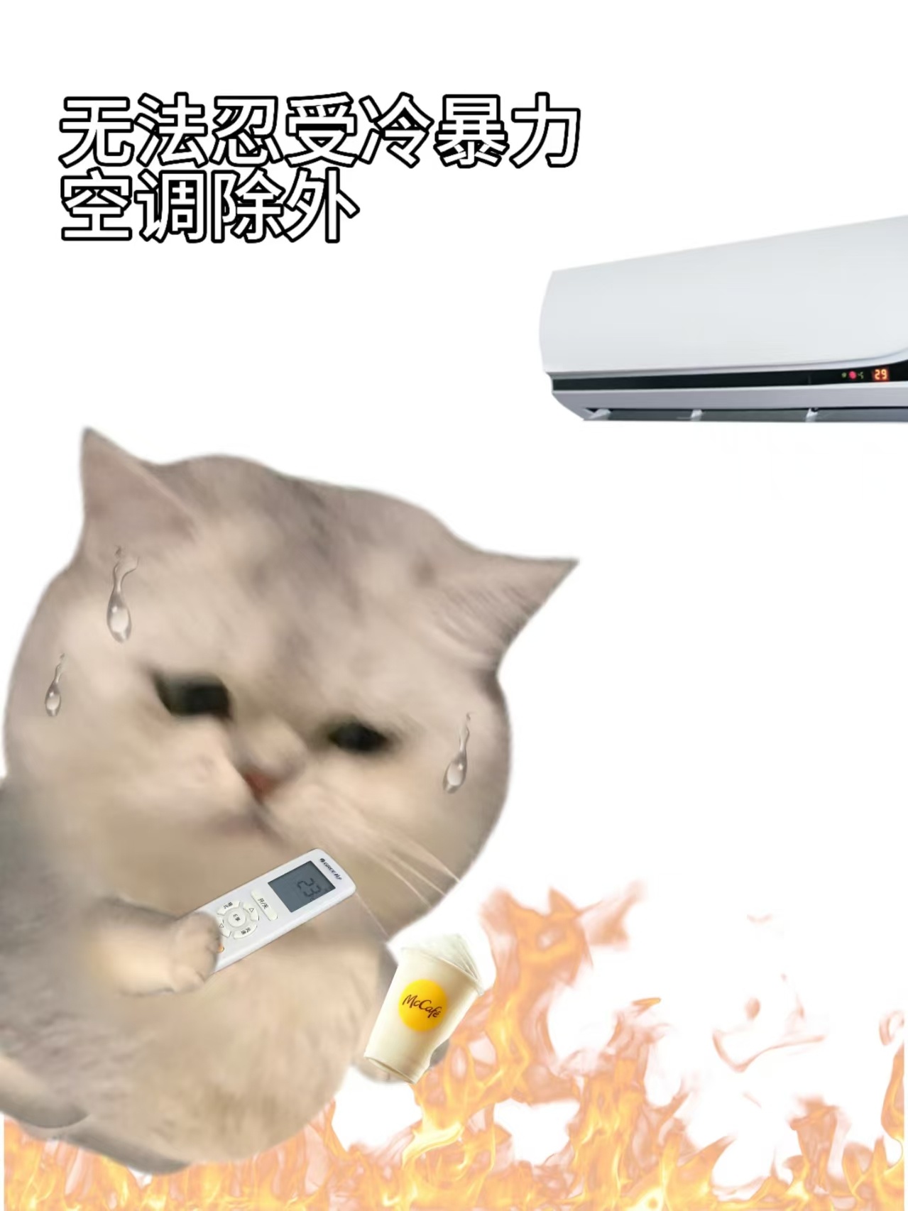 迪丽热巴 我看了眼时间，现在是夏天没错啊，为什么我感觉这么冷，原来是你们的冷漠冻