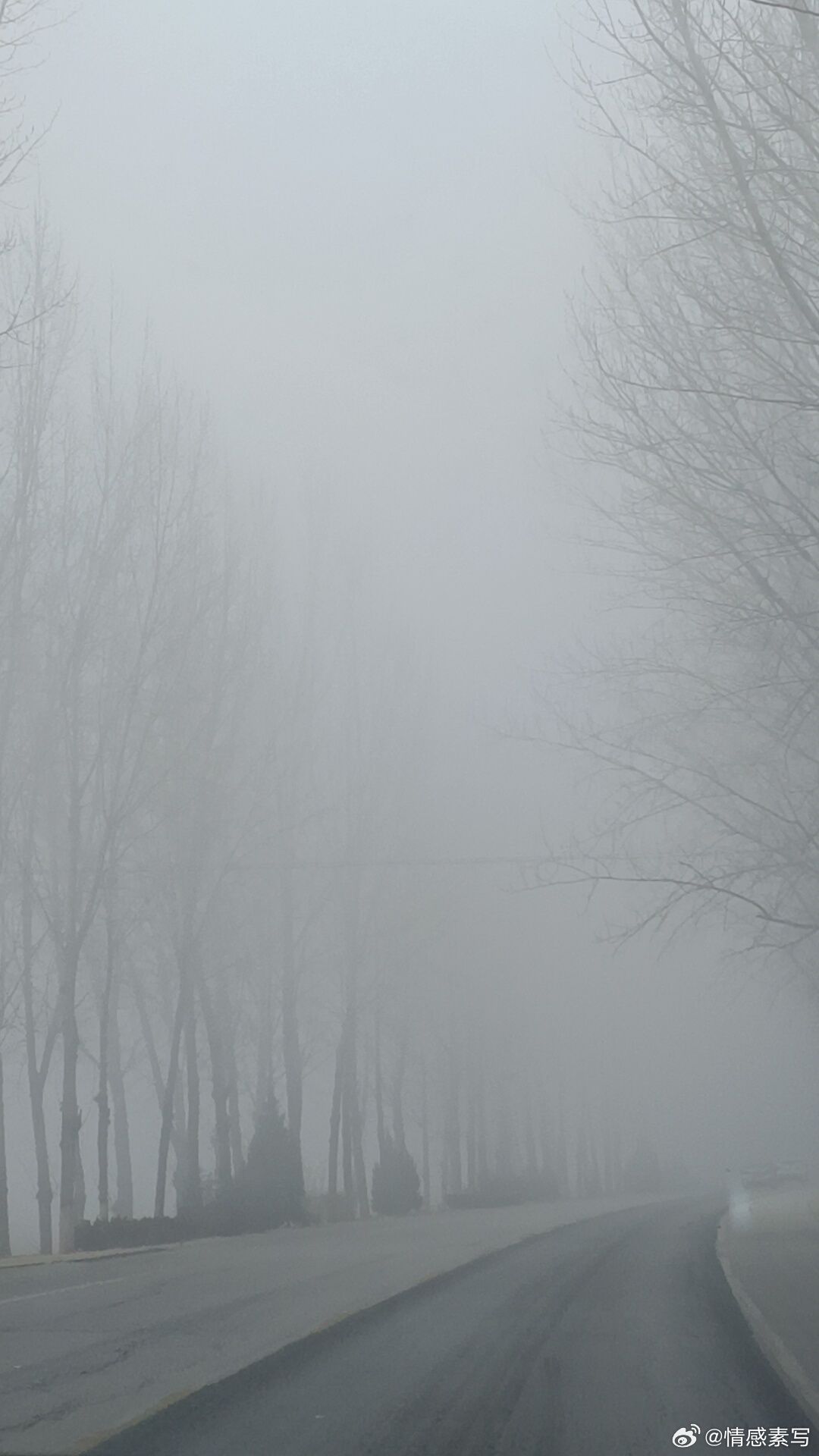 情感 杀死知更鸟里有这样一段话，：你永远不可能真正了解一个人，除非你穿上她的鞋子