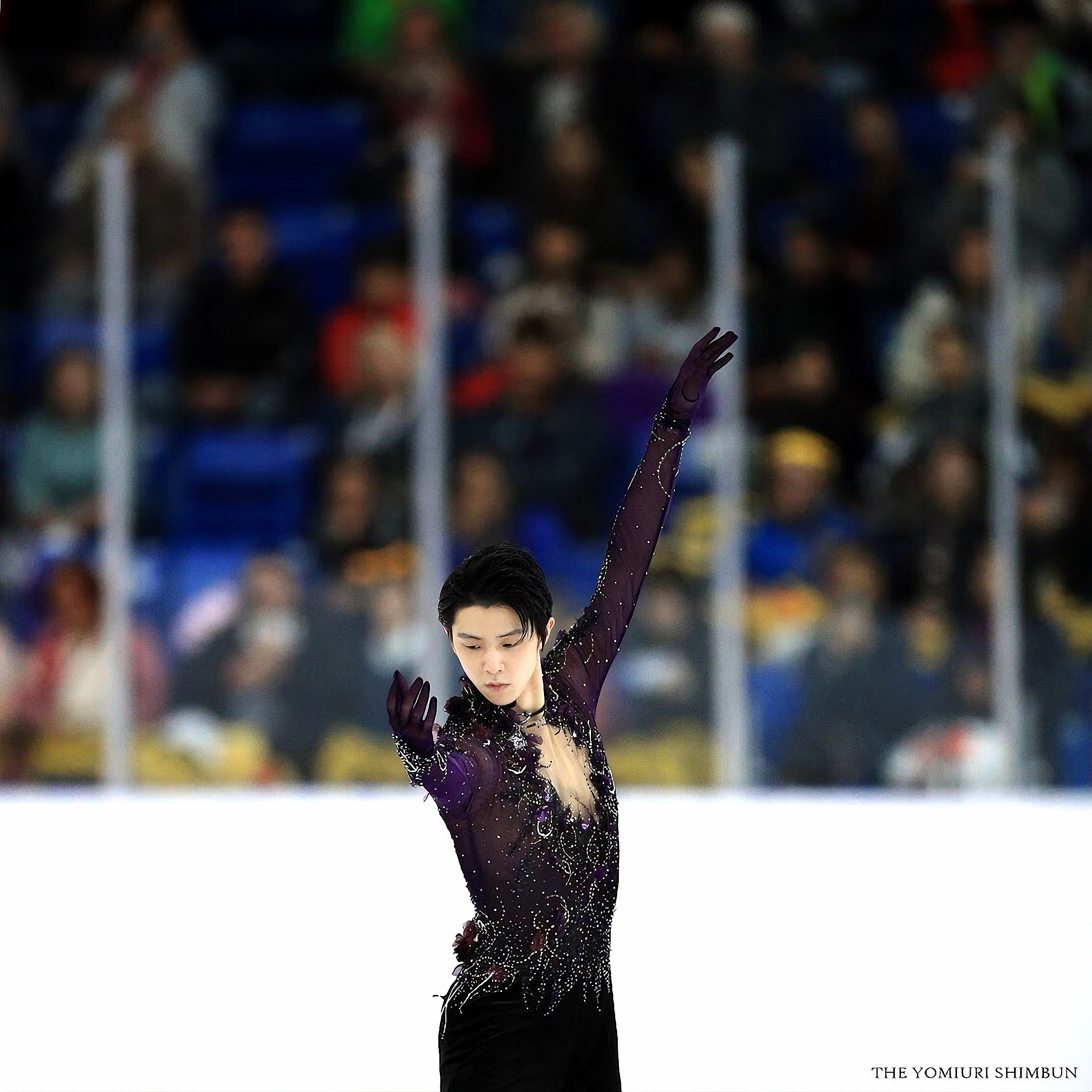 羽生结弦[超话]羽生结弦 ✨💜✨一组紫源的图⑦⑥❄️⛸️❄️（图源：推/ins