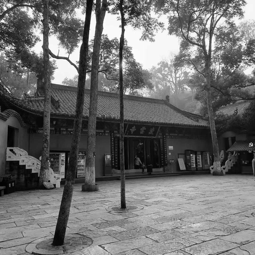 再遇大佛，那种震撼与宁静感扑面而来。记得上次见大佛，还是几年前，当时就被它的庄严