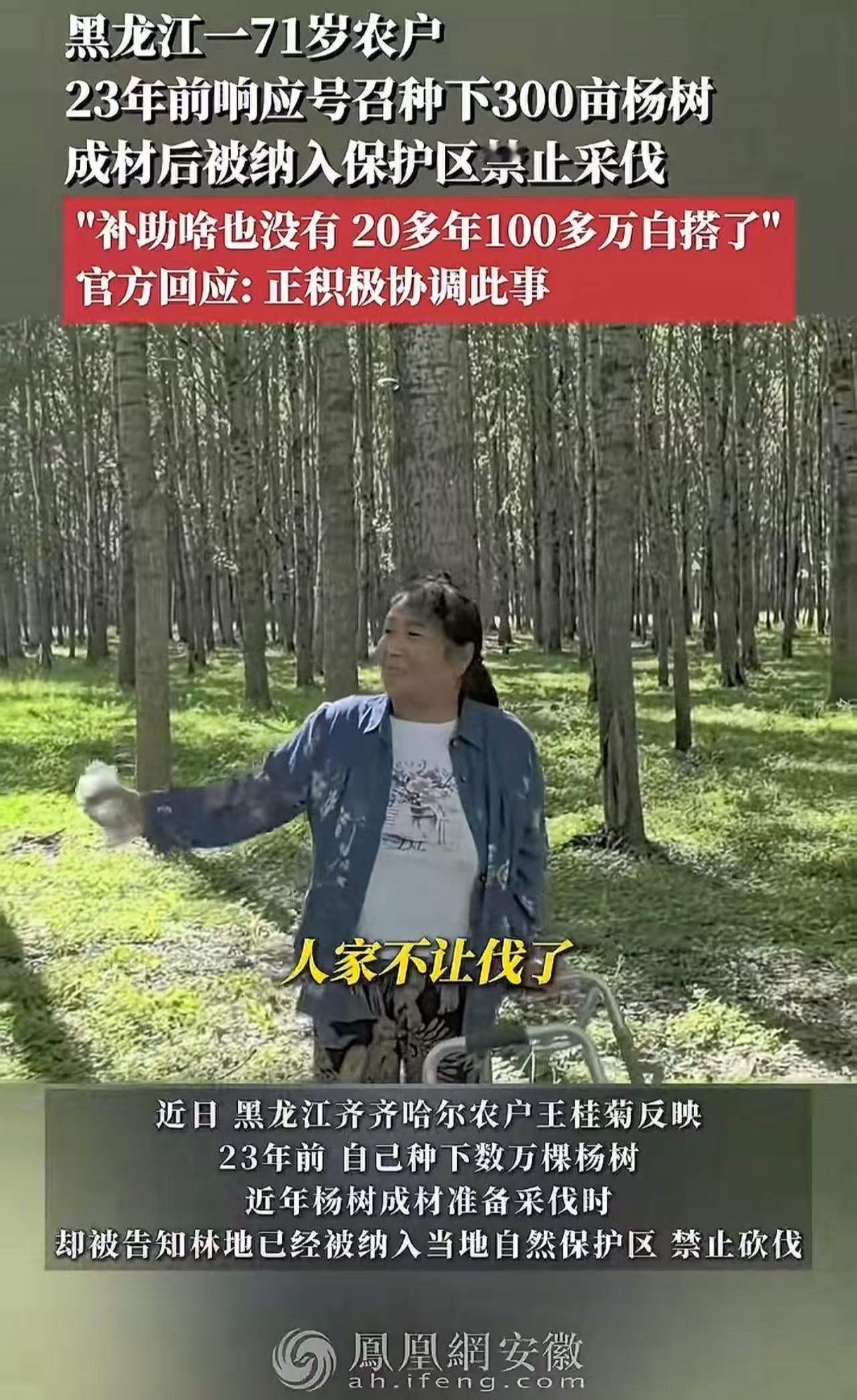 黑龙江，71岁农户23年前响应号召种下300亩杨树，成材后却被纳入保护区禁止采伐