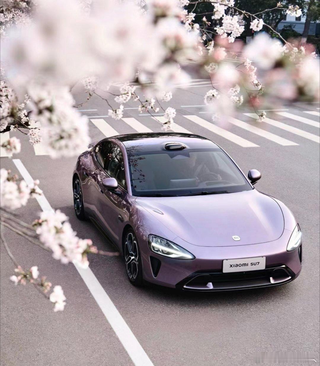 #你的电车每年保险多少钱##汽场全开# #俩姑娘出去玩捡到一斤黄金#我们家电车的