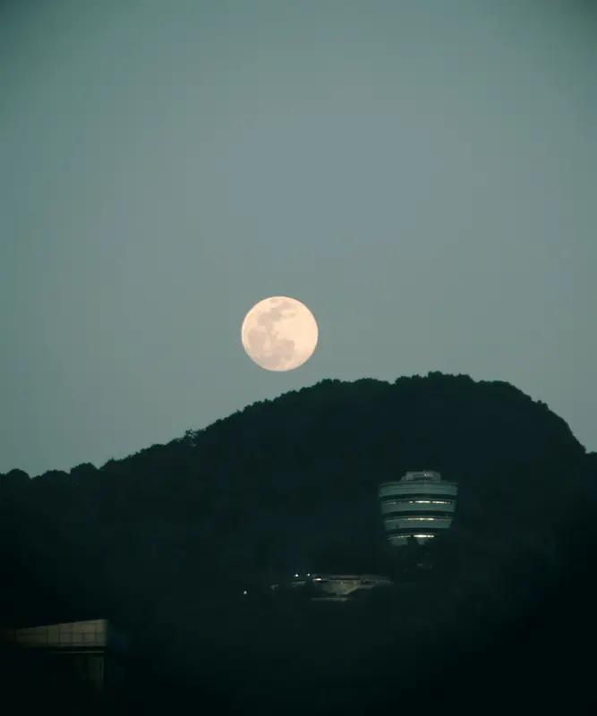 上联：朝朝旭日出东海，请接下联月月明月下西山。