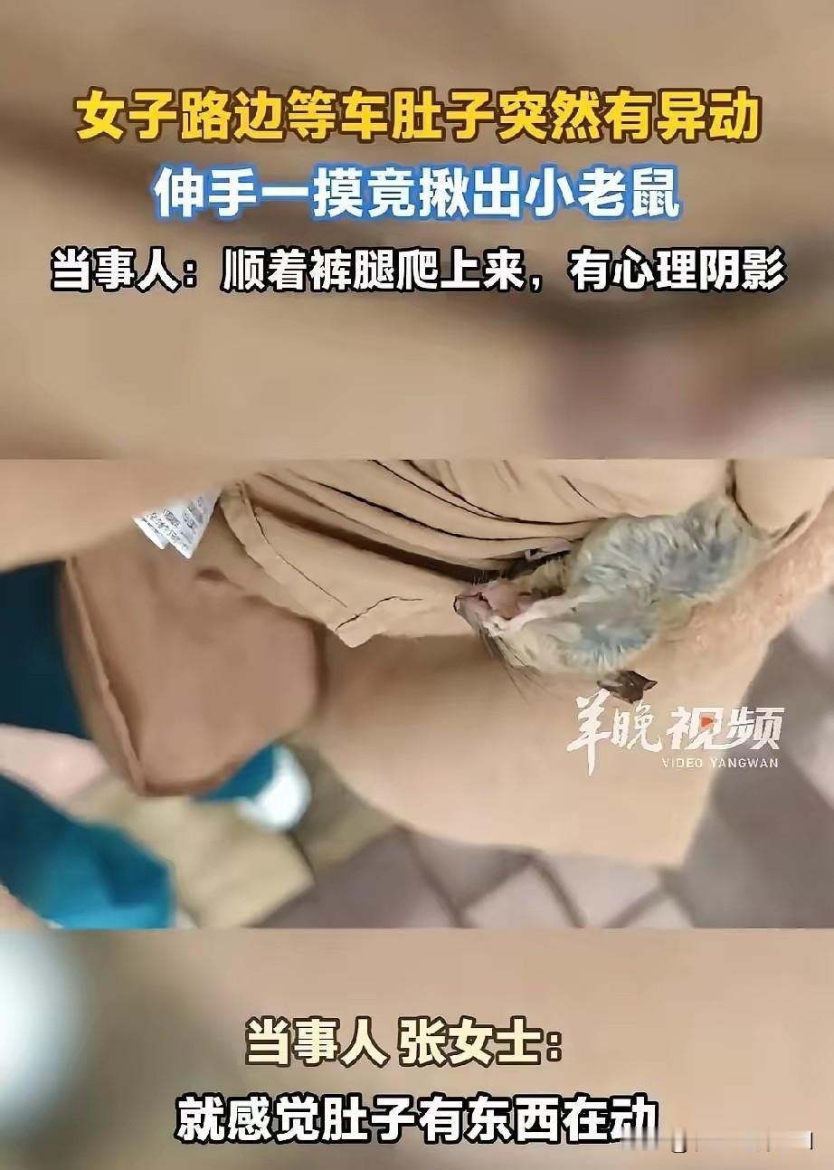 想想真让人心里发毛！女子在路边等车，突然感觉肚子上有东西在动，翻开外套一看，居然