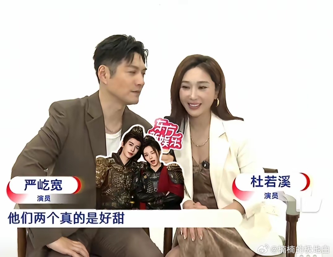 严屹宽和杜若溪夫妇接受采访，被问到对外甥和外甥媳妇（谢征和长玉）满意吗？双方表示