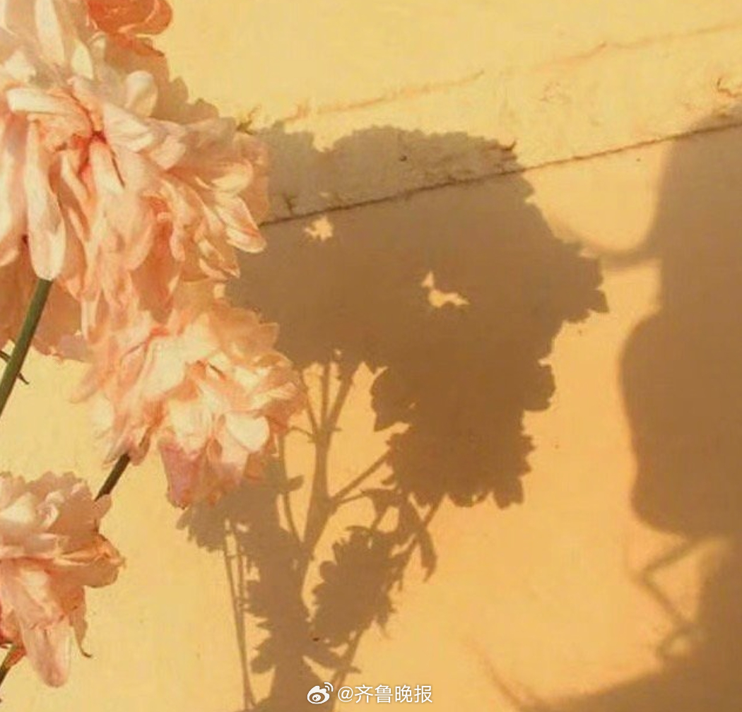 努力自我更新，永远向上生长。#晚安#