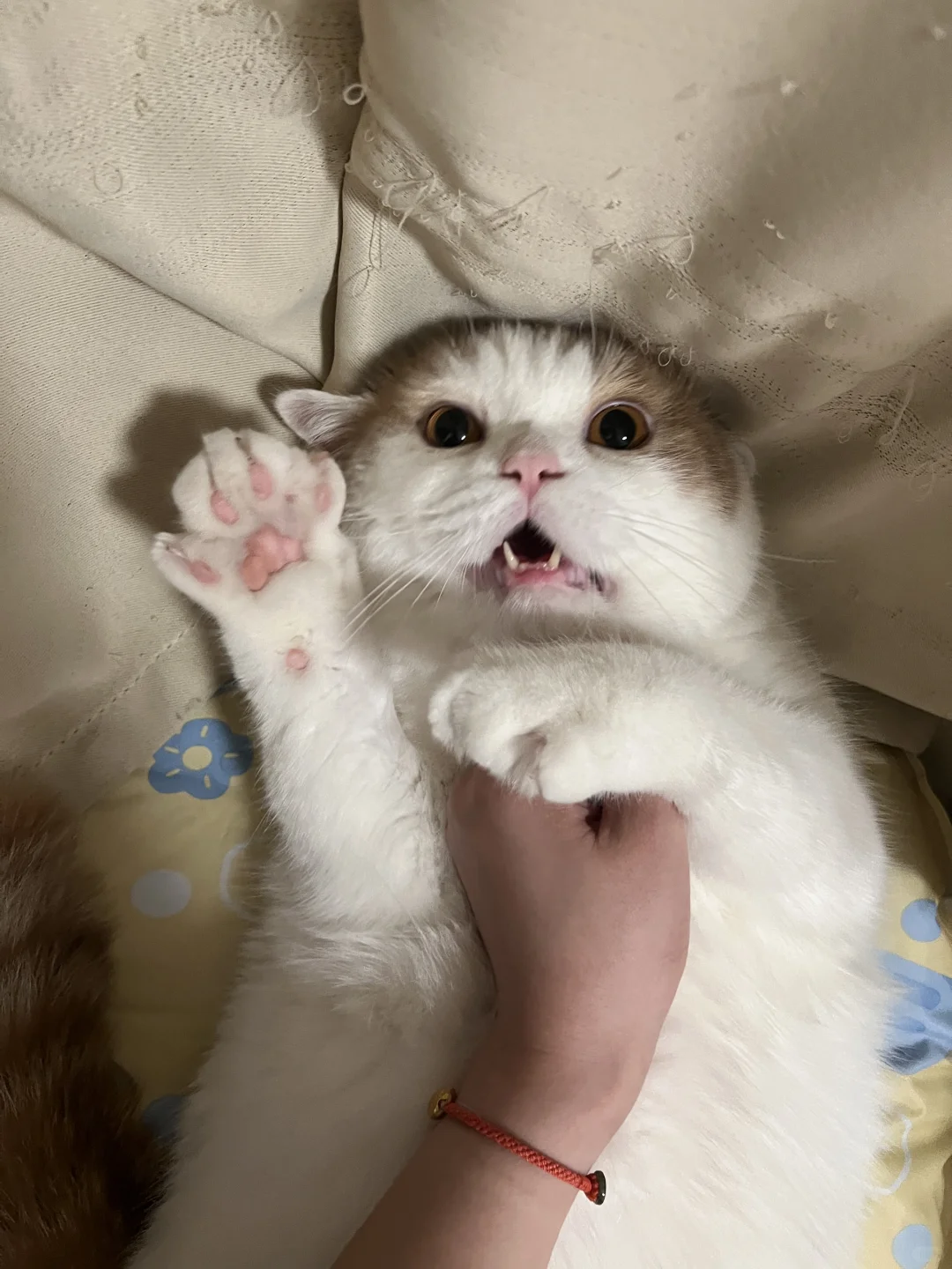 妈！我投降我投降！