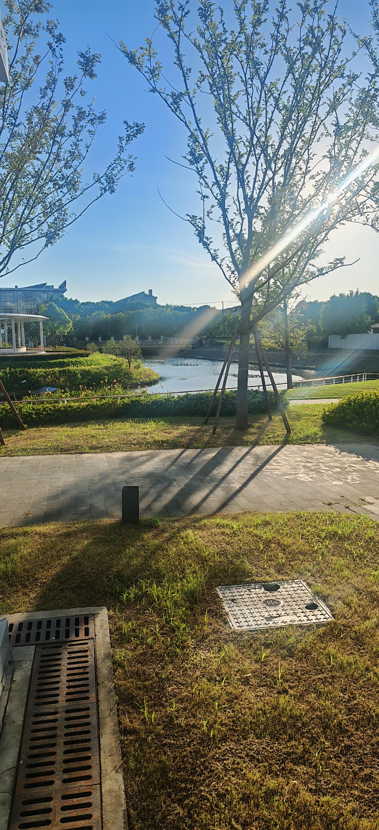 《晨光吻岸》
晨光驱云裂金芒，
吻过新枝蘸浅塘。
草色青黄凝露处，
风将楼宇拓成