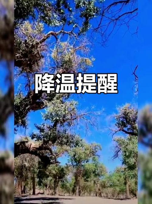 一场极致的气温震荡即将登场

刚过完年，天气就开始“搞事情”。全国即将上演先狂飙