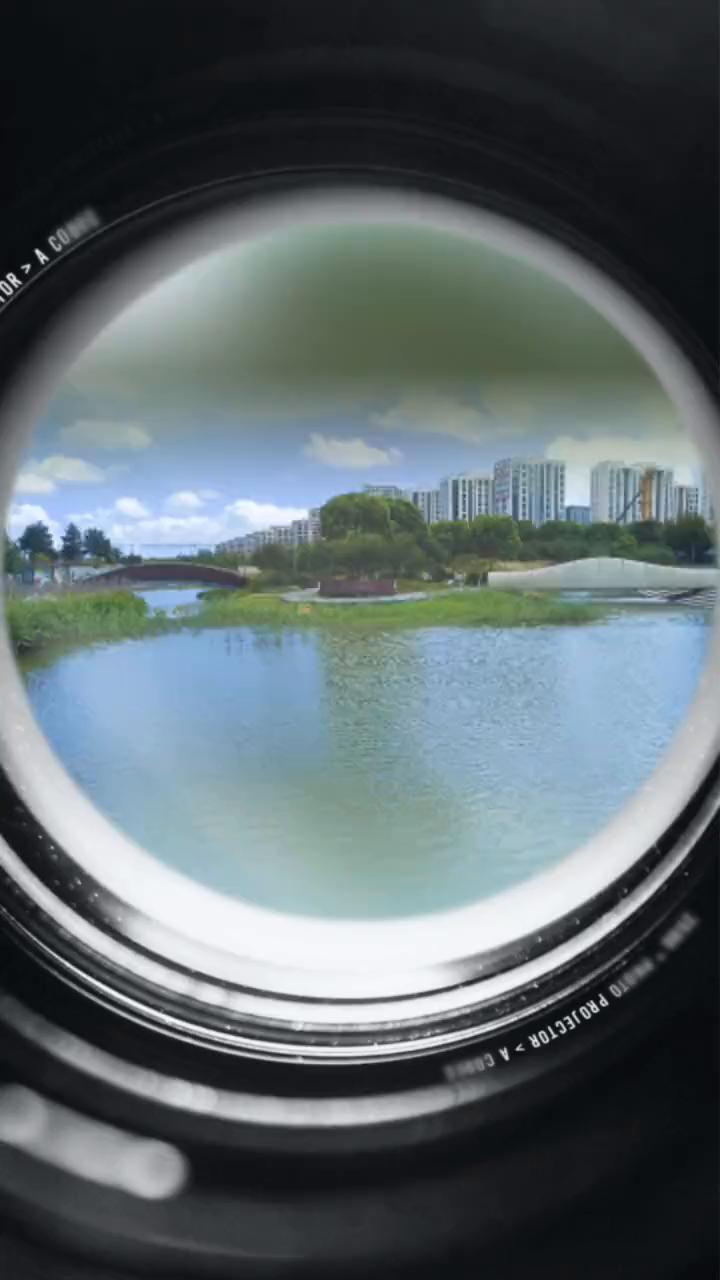 人生。
这样的感觉，风在吹动你去。