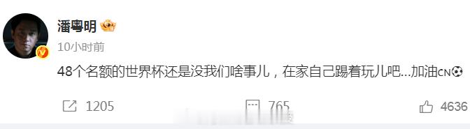潘粤明说国足在家自己踢着玩儿吧 更新社媒评国足：​“48个名额的世界杯还是没我们