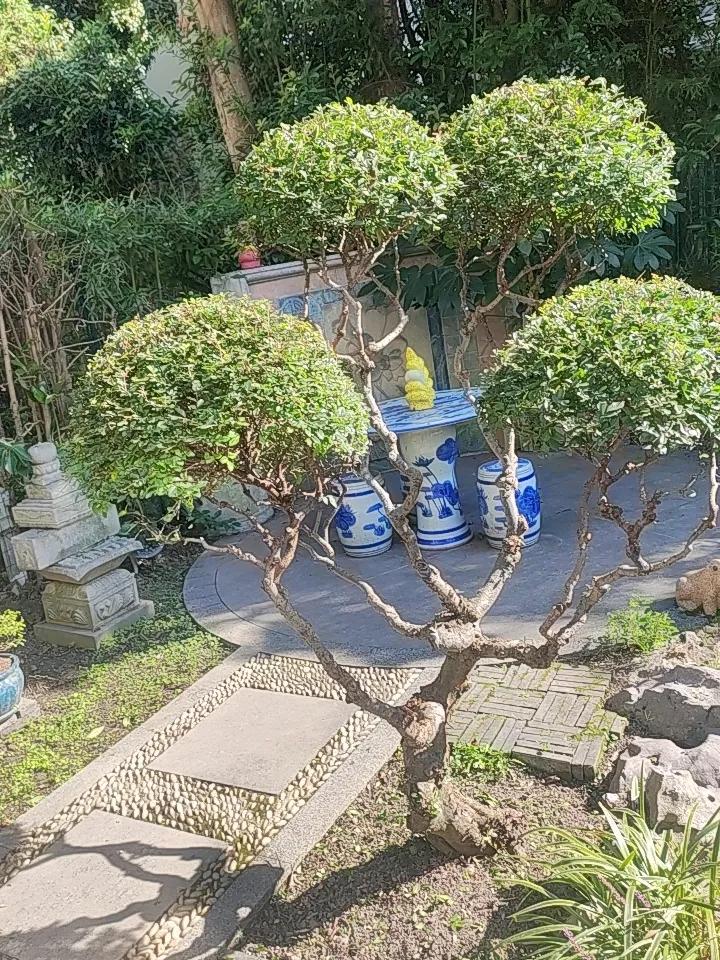 要撑得住当下的缺憾，方能等得到将来的美好。既要又要，结果多半不妙。