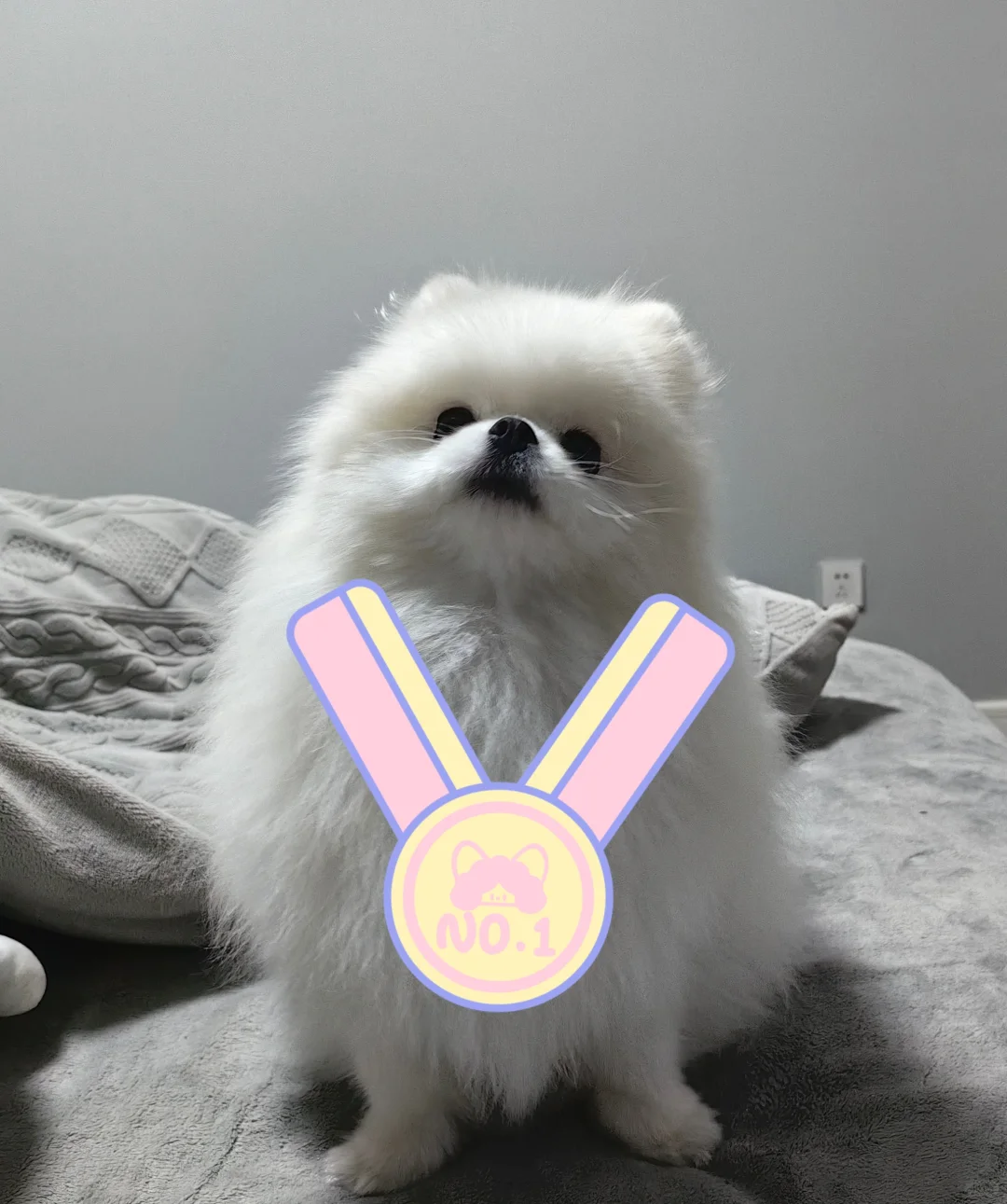 抓虫小英雄