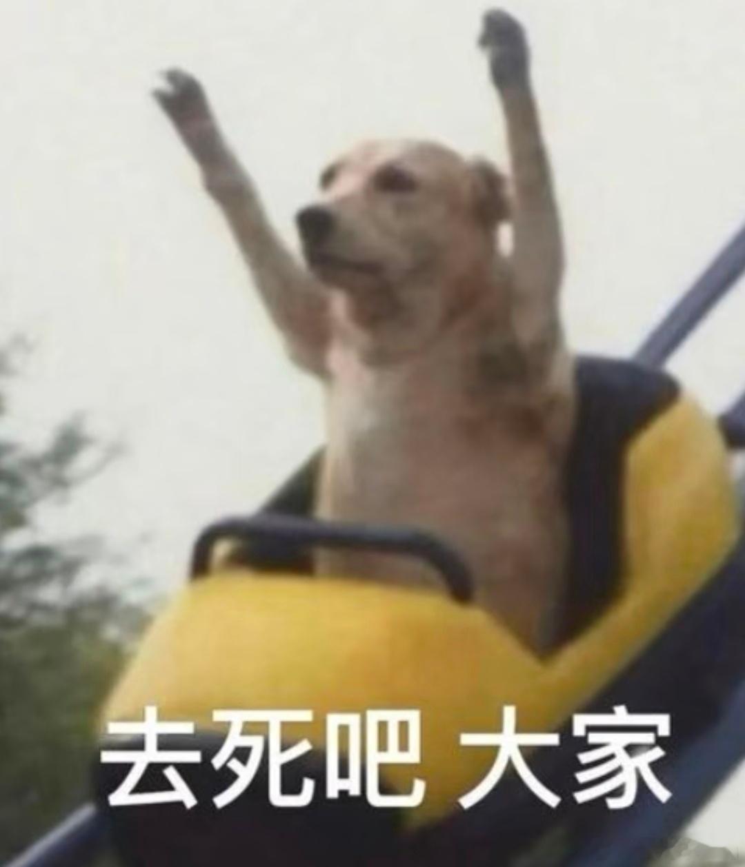 工作是为了让我变有钱，不是为了让我遇见一群神经病[微笑][微笑][微笑] ​​​