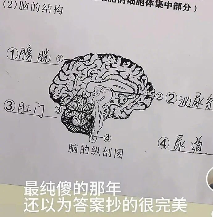真就没有一丝丝怀疑？ 