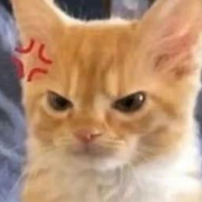 老板出去玩了，问他新方案能不能过。隔了两个多小时，他才回消息，我刚在沙漠里，没有