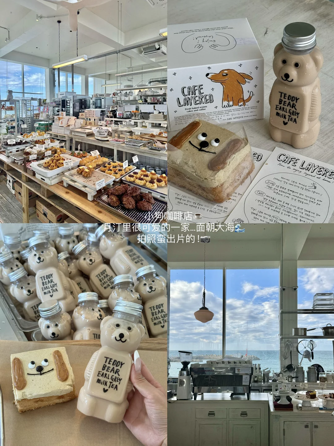 🇰🇷济州岛会反复去的8家☕️……