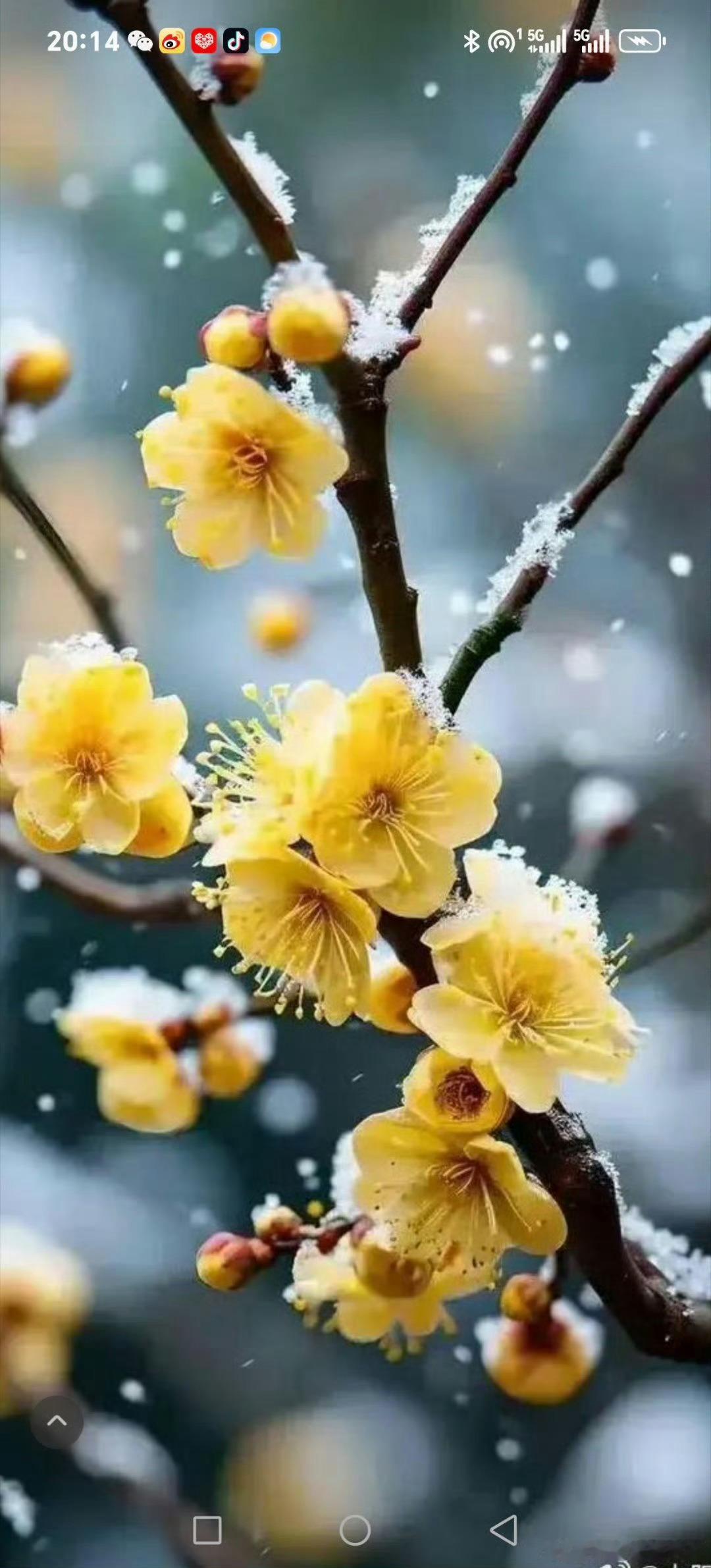 早安早安心语早安,新的一天  早安心语超话  治愈不开心人生感悟人生微语每天说早