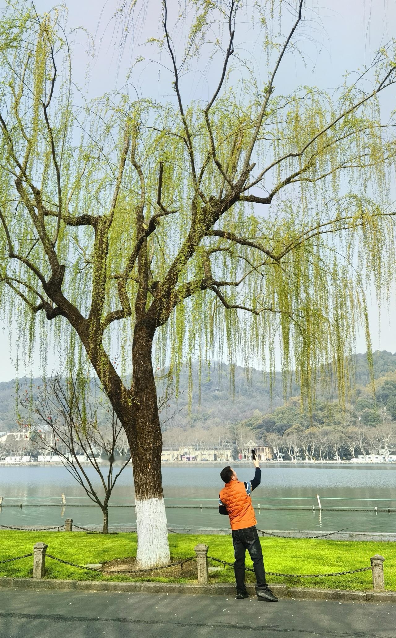 第三次游杭州，相隔一晃二十年了。重游西湖，走在白堤断桥之上，有感：
故地重游人不