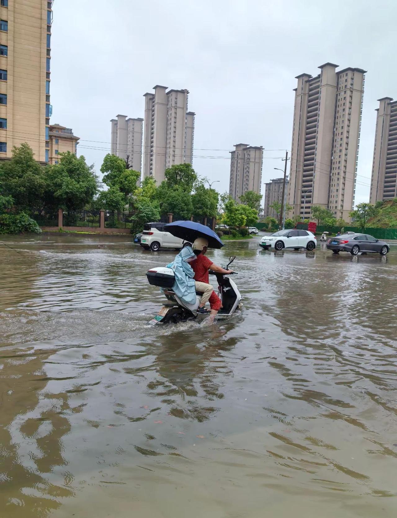 一场大雨校门口秒变小河，大雨突袭，校门路成河，积水齐膝，小朋友涉水求学，盼早日修
