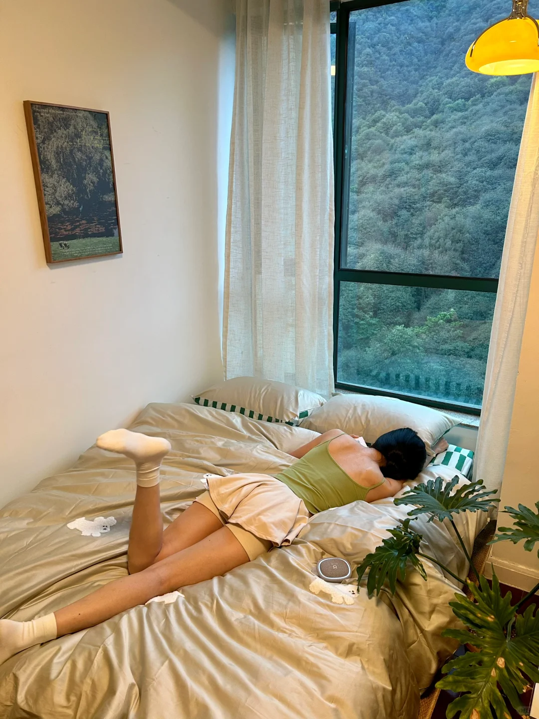 在无尽的绿意里过夏天