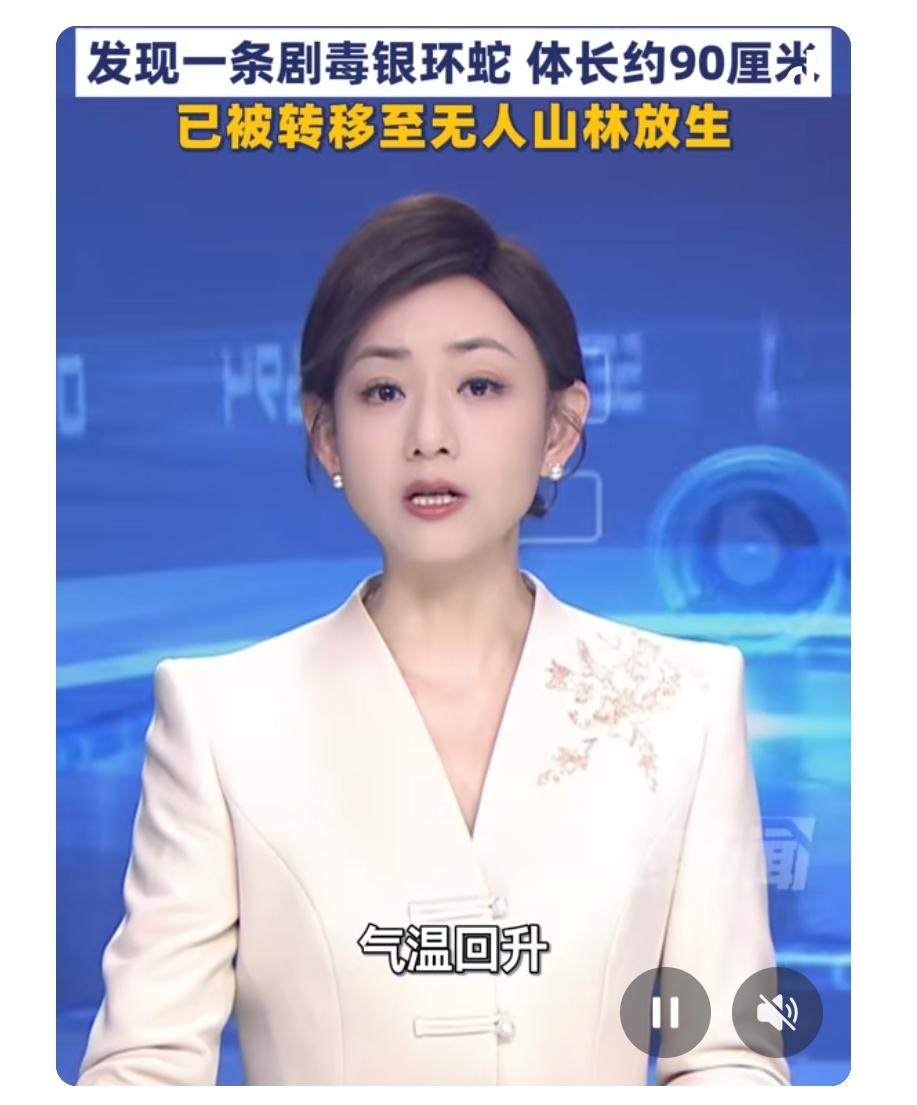 政务大厅里竟然藏着“毒蛇大佬”？近日，湖北黄石一政务大厅的保安室上演了一出“惊魂