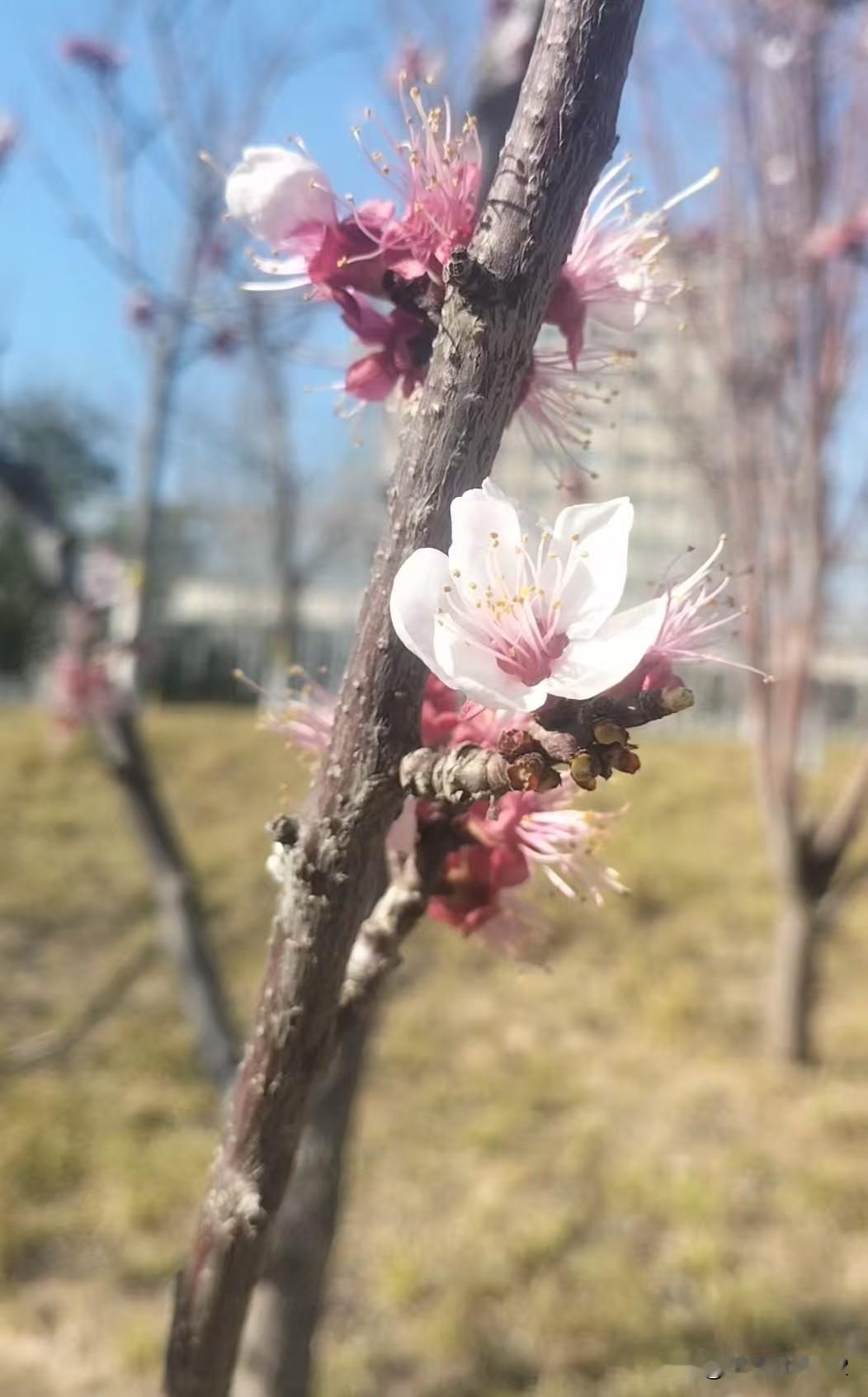 二婚老伴生病在医院住院，一早我去医院给他送饭，病房外无意中听到他和继子的对话，我