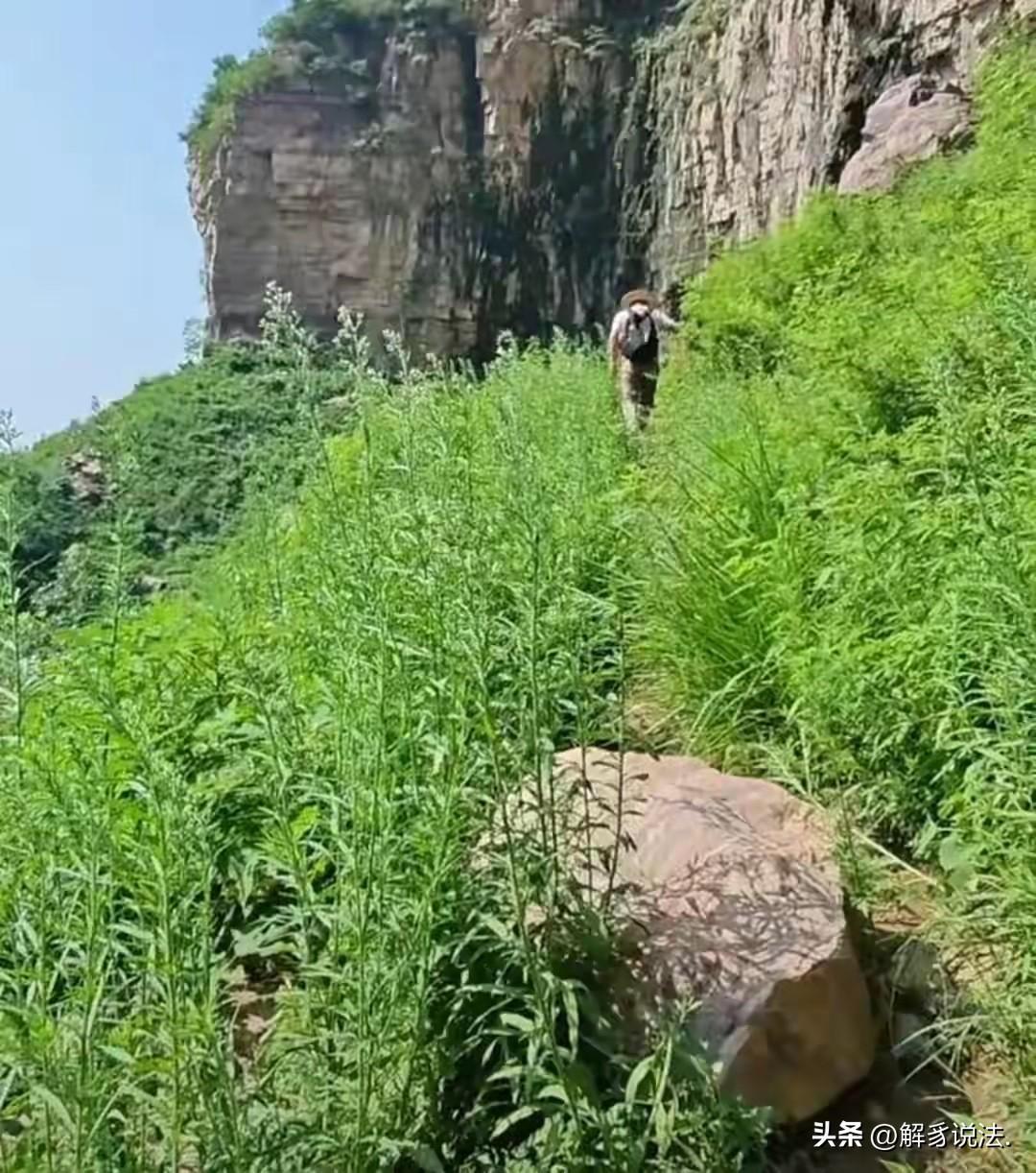 河南信阳，22岁女孩独自徒步去太行山，头几天会和家人报平安。6天后，突然和家里断
