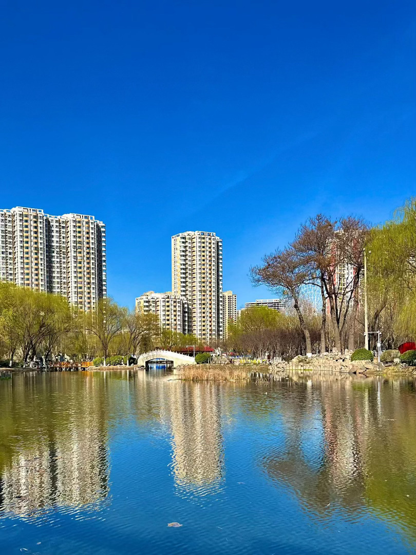 我真的太喜欢春天了 