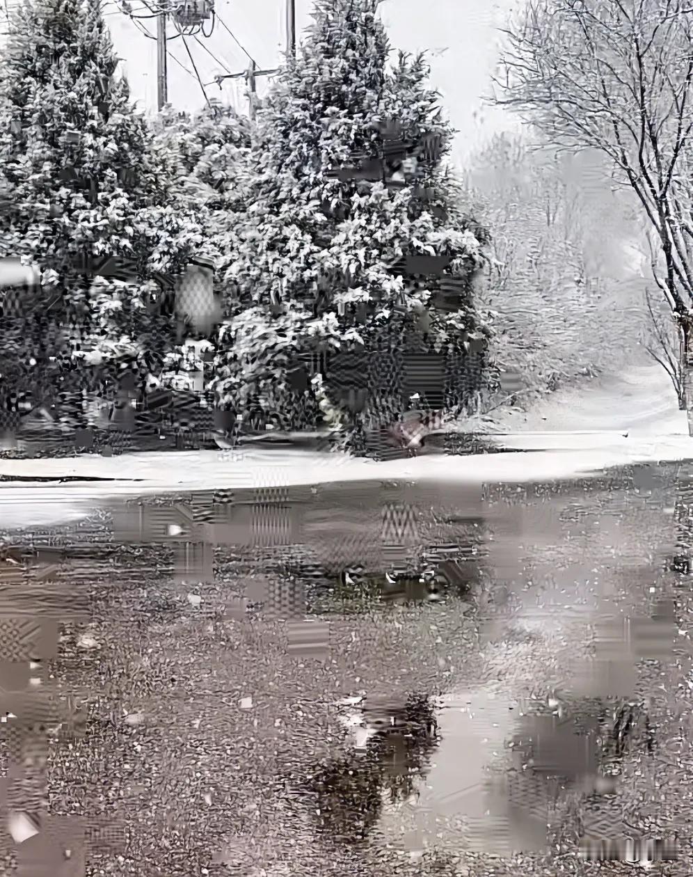 都3月过半了
北京突然下大雪
而且是分区下雪制[捂脸]
据说有些区还没下
我们密