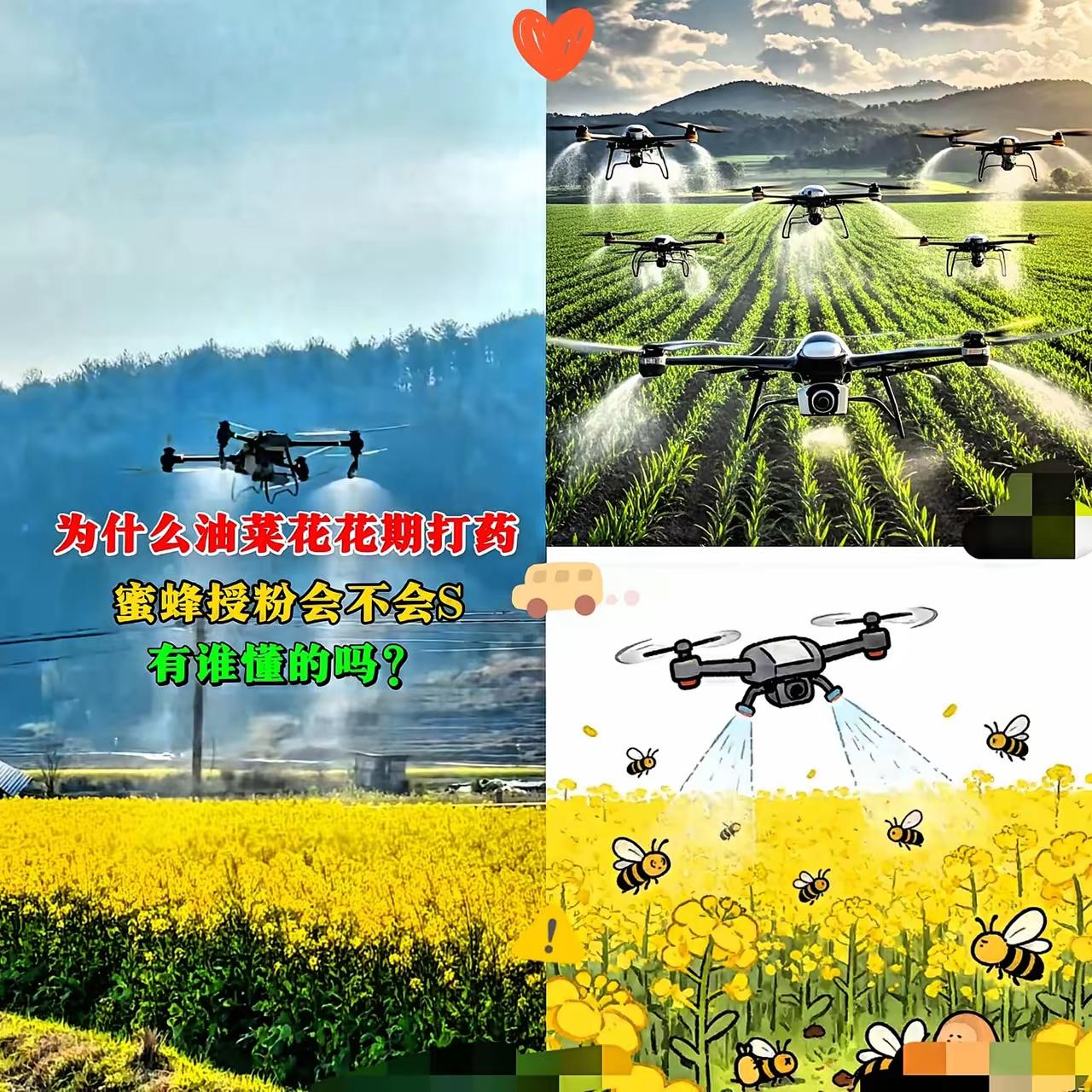 官方这次动真格了！油菜花盛花期乱喷高毒农药的人，这次真的慌了。
 
看着蜂农守着