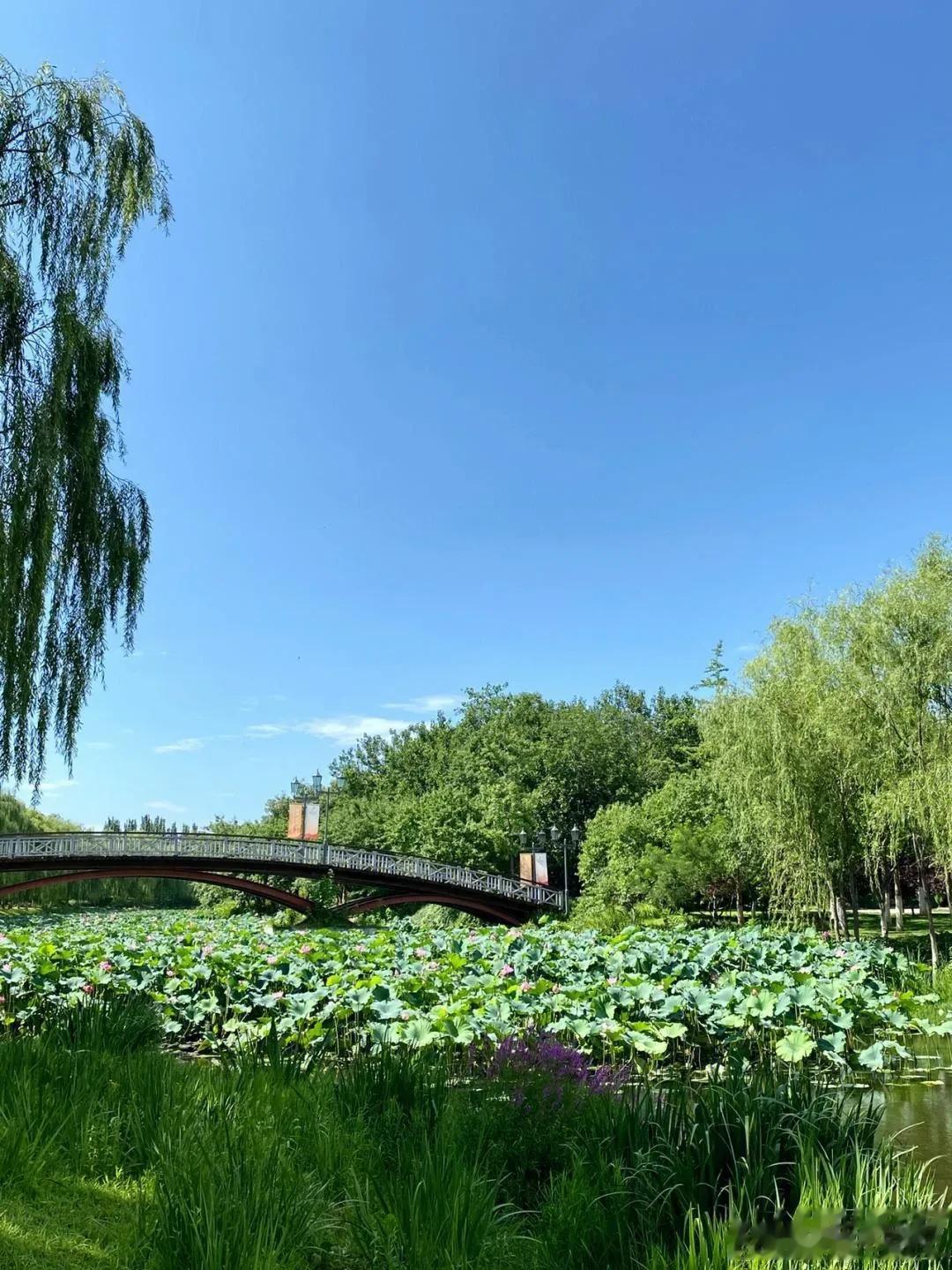 #秋日生活打卡季#想被秋天卷起，卷进温柔的清风里，柔软的白云里，还有橘子味的拥抱