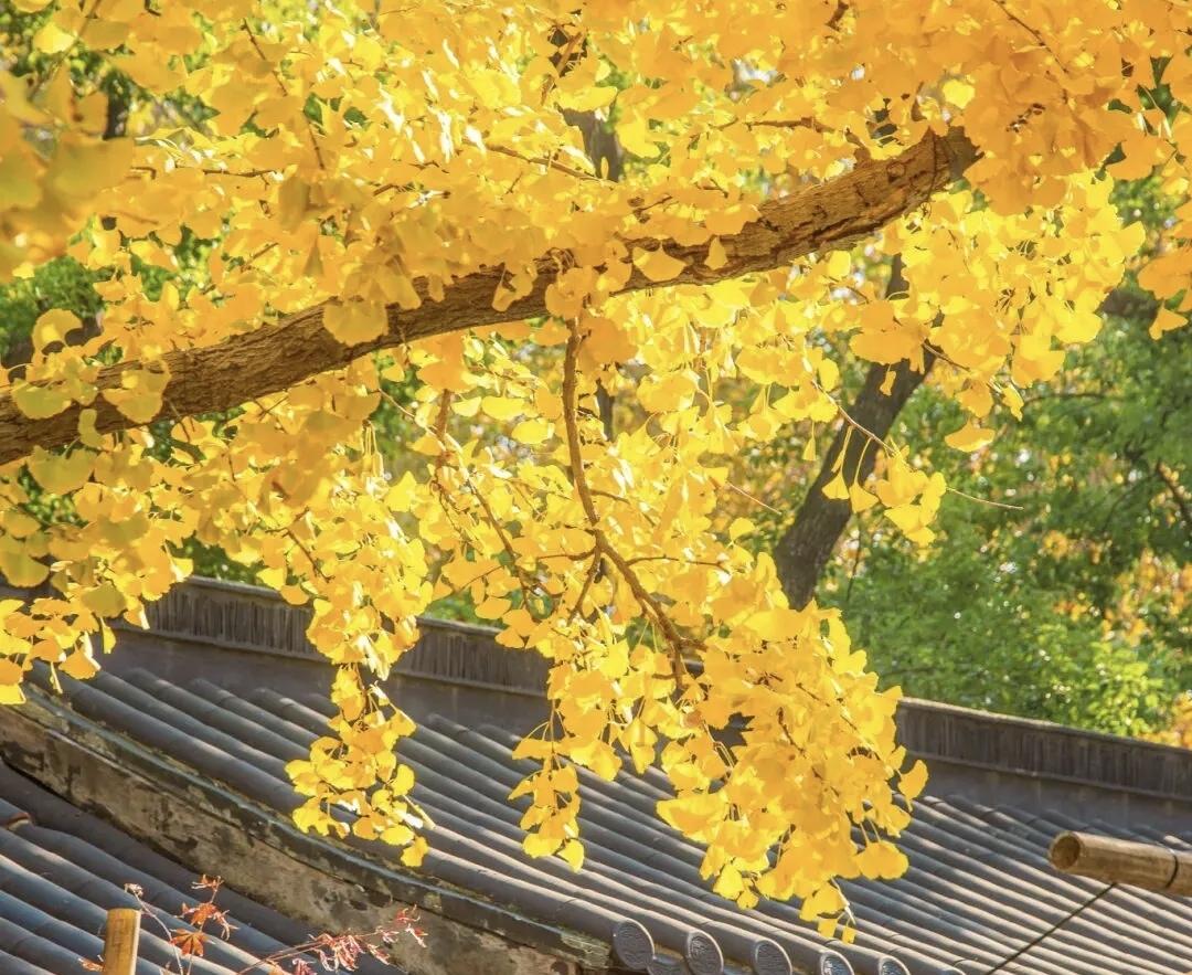 【人性最大的恶就是见不得别人好，可是别人未必不好，但你肯定不好】
       