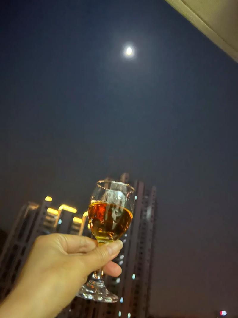 上联：山邀云做客
下联：酒请月入席