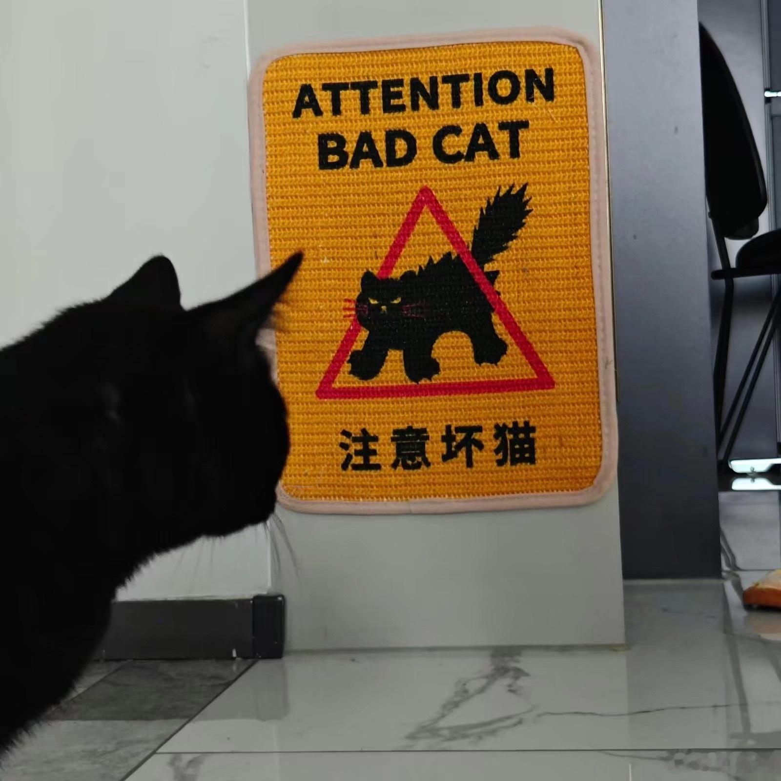 说谁是坏猫呢 ​​​