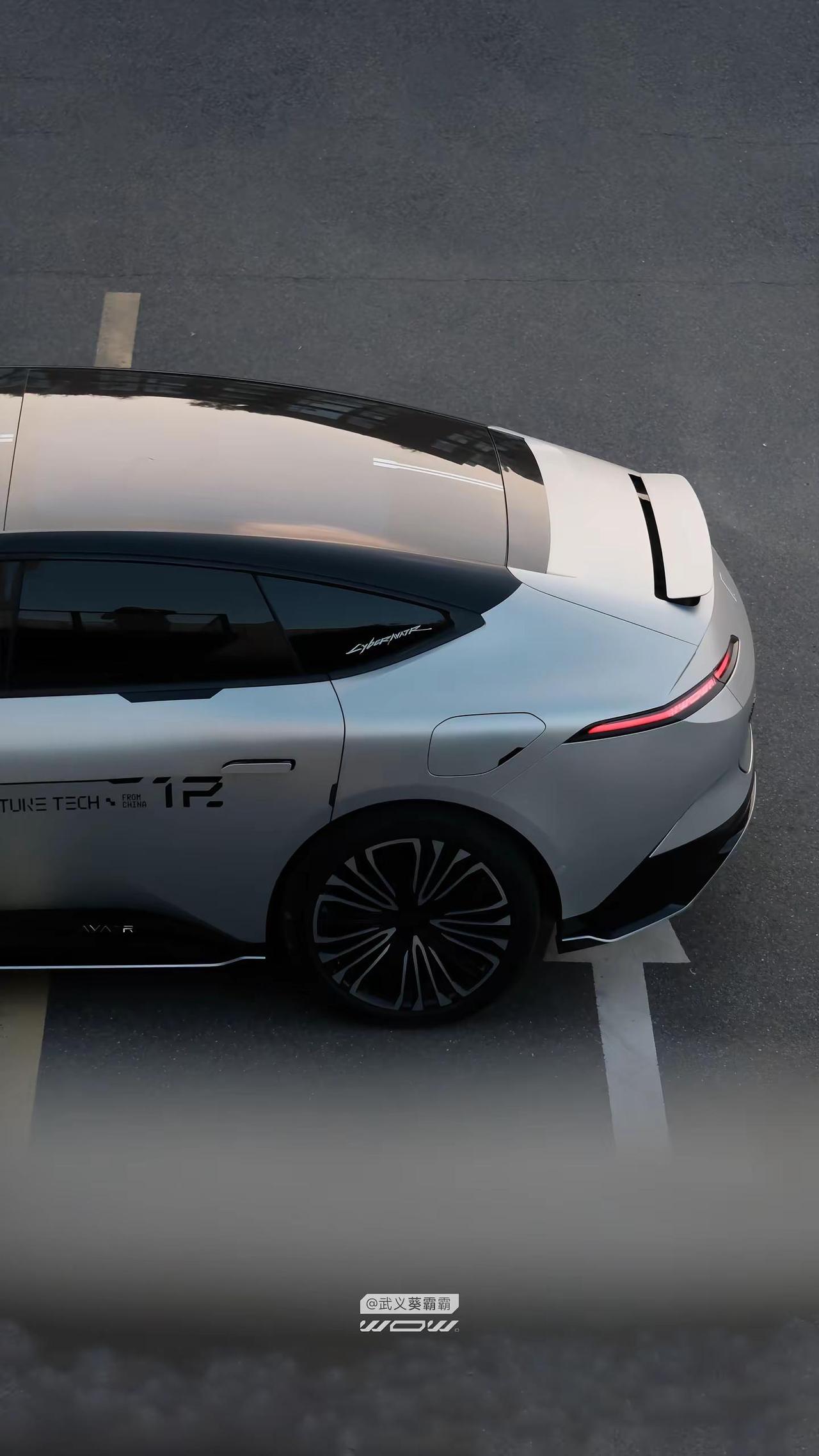 还型。阿维塔12 葵霸原创拉花