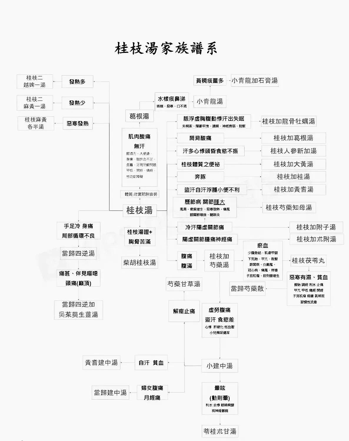 你还在为记不住中药方剂而烦恼吗？今天就来教你一个记忆小妙招，轻松掌握“万方之祖—