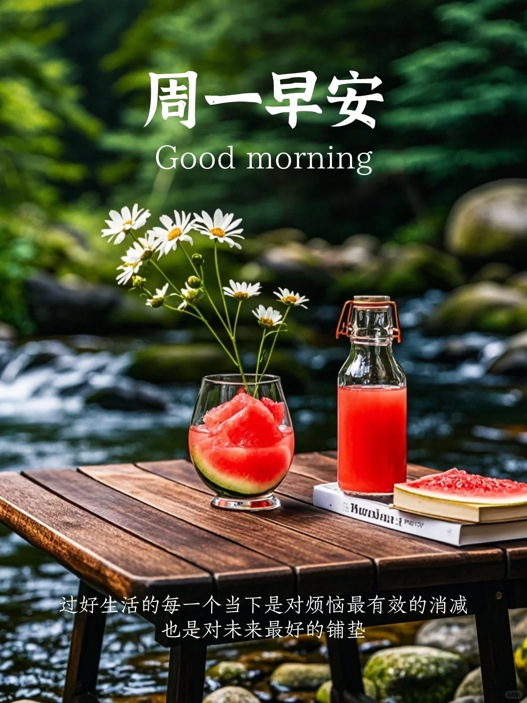 早安心语｜周一早安｜夏天文案｜小众文案