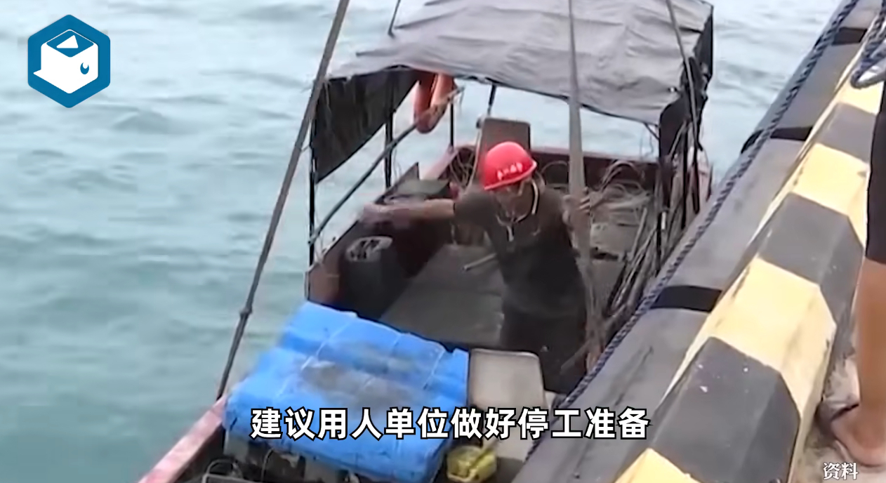 泰利来啦！鹏城全面休息了。