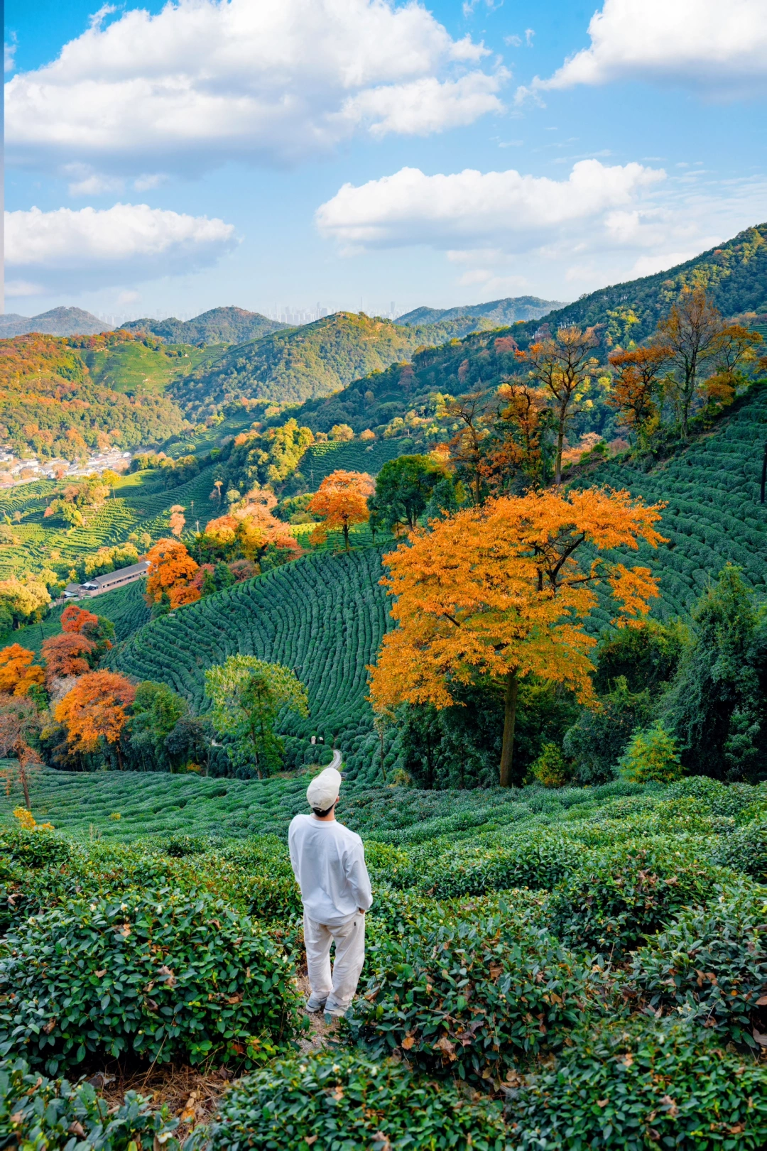 杭州秋天最治愈的徒步路线，已经美到失语‼️