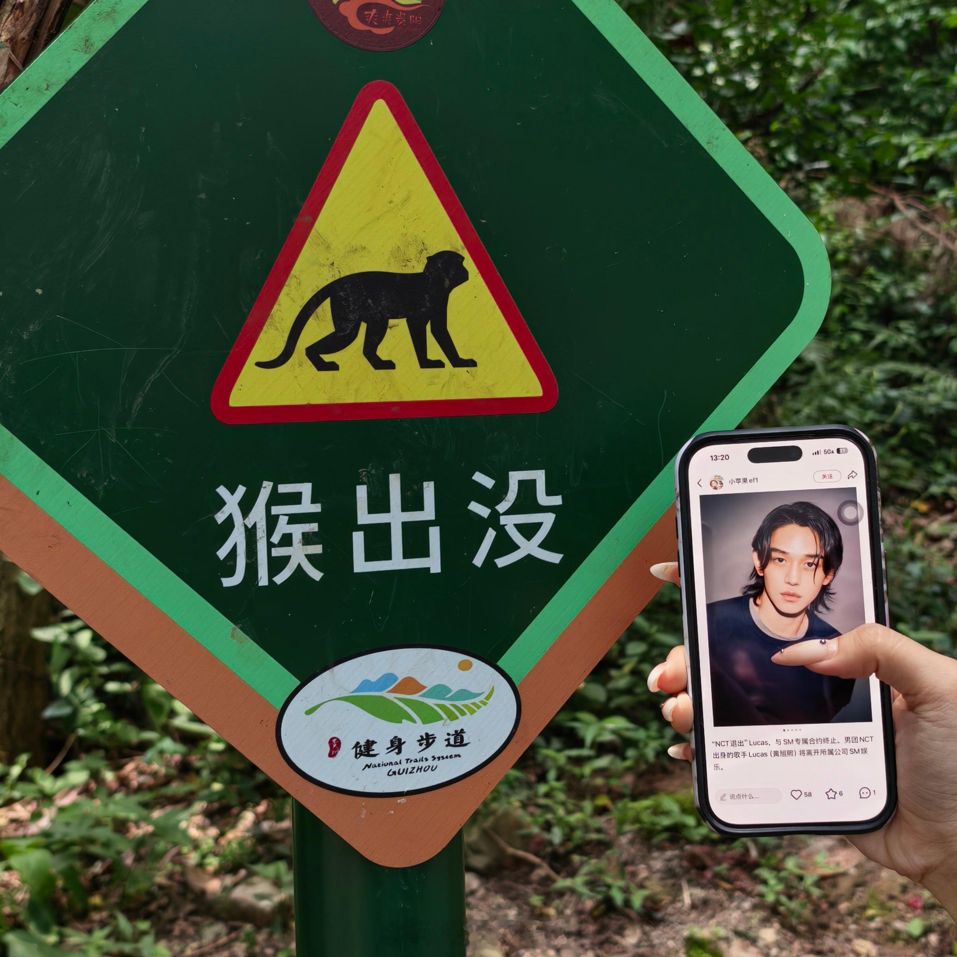分享图片 
