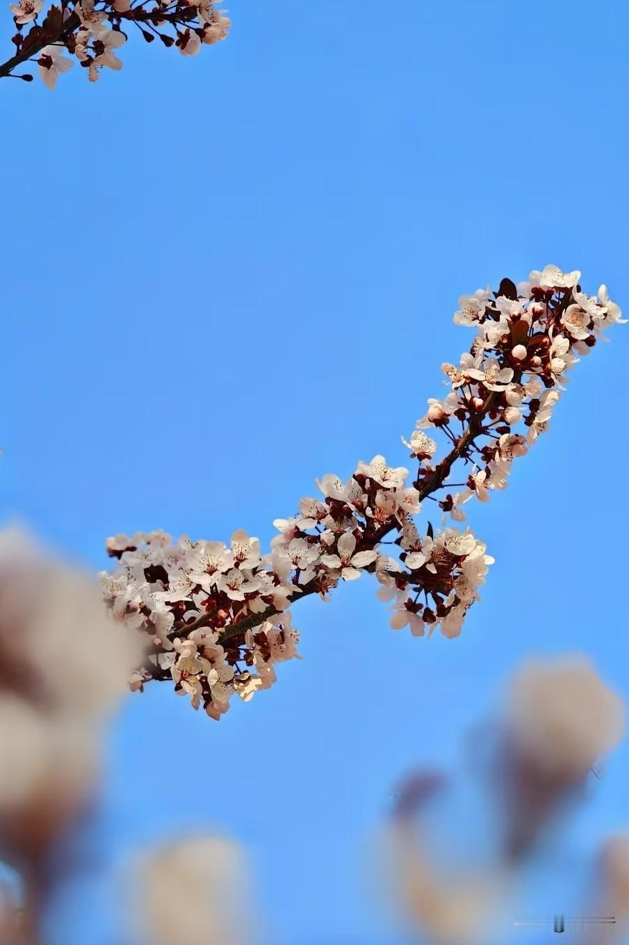 性格真能决定人生吗
其实没那么绝对
性格会影响你的选择
遇事是躲还是冲
待人是宽