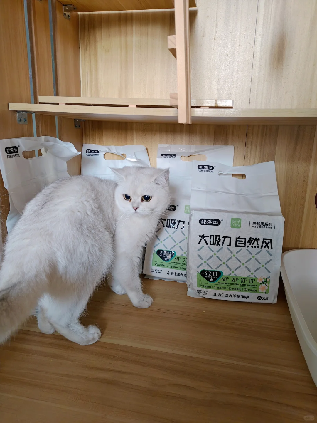 过年啦！沉浸式收拾🐱别墅🏡