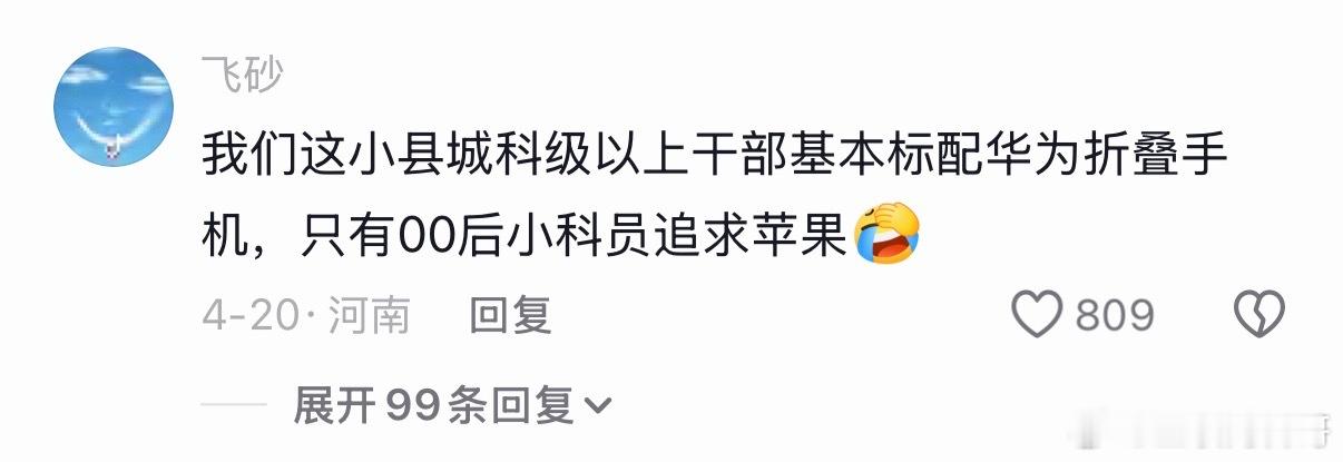 体制内华为手机的现状，科级以上基本全部标配华为折叠机，只有00后小科员追求苹果。