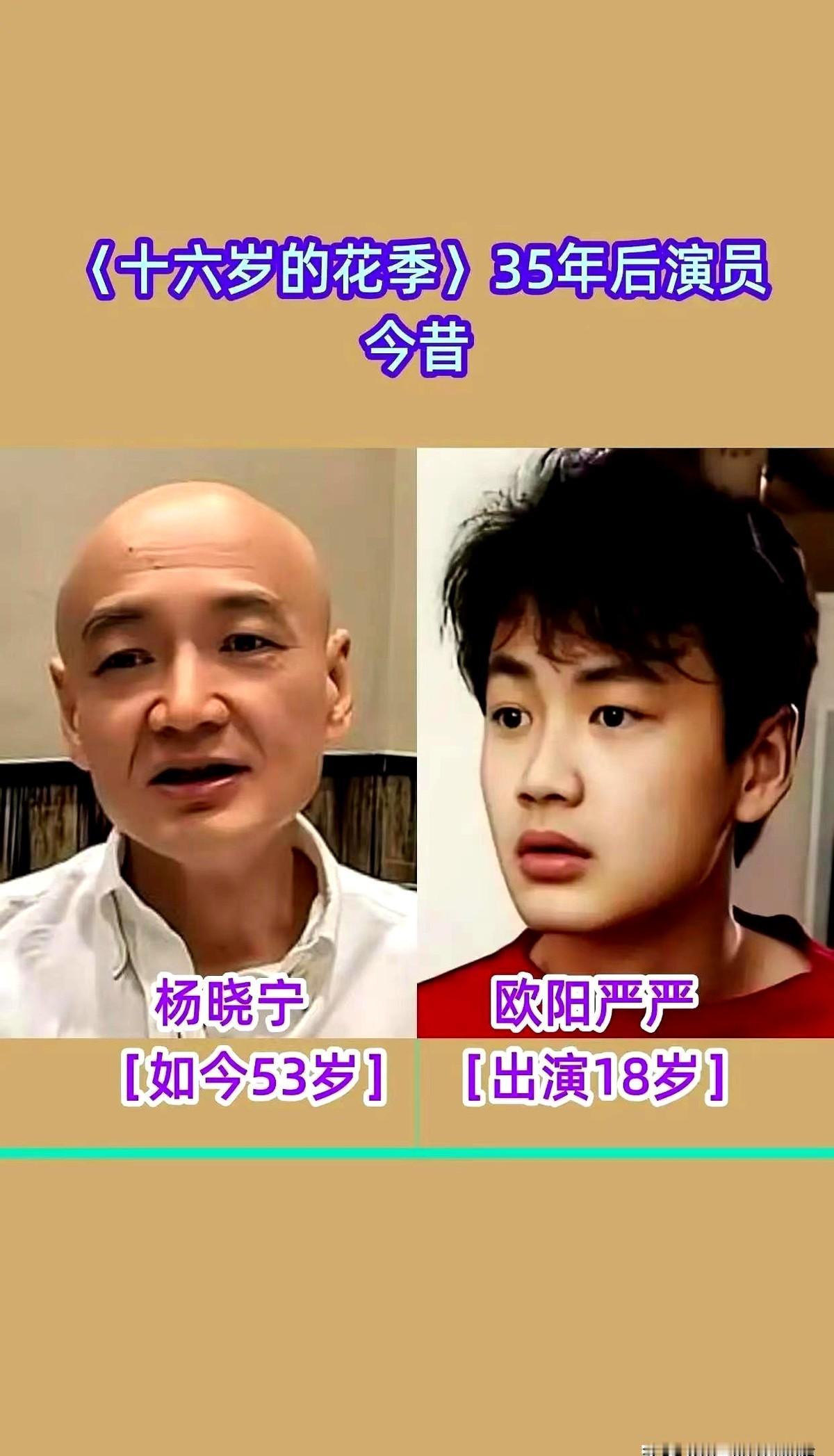 当年红遍大江南北，现在呢？

聊聊《十六岁的花季》那拨人，真是时代的眼泪。

何