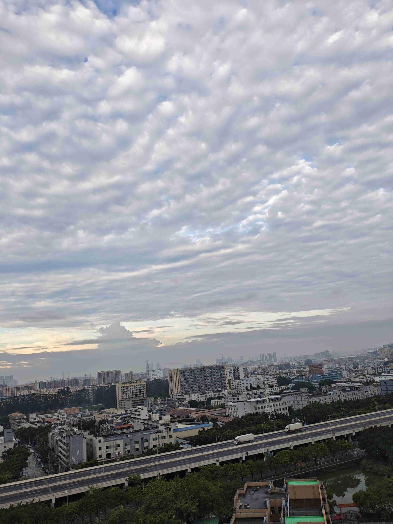 我的今日状态：😁轻松愉快
我这里的天气：🌧下雨：深圳今日有中雨，气温24度到